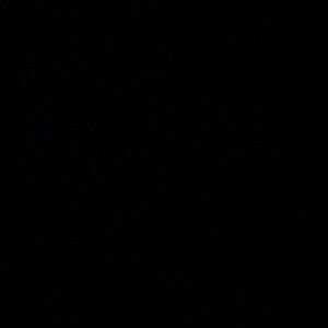 Meet your Posher, Natali